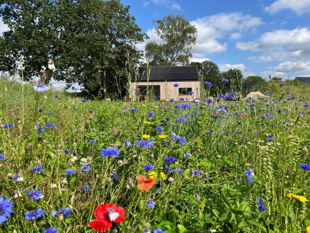 Villa Bij De Kei Appelscha Esterno foto