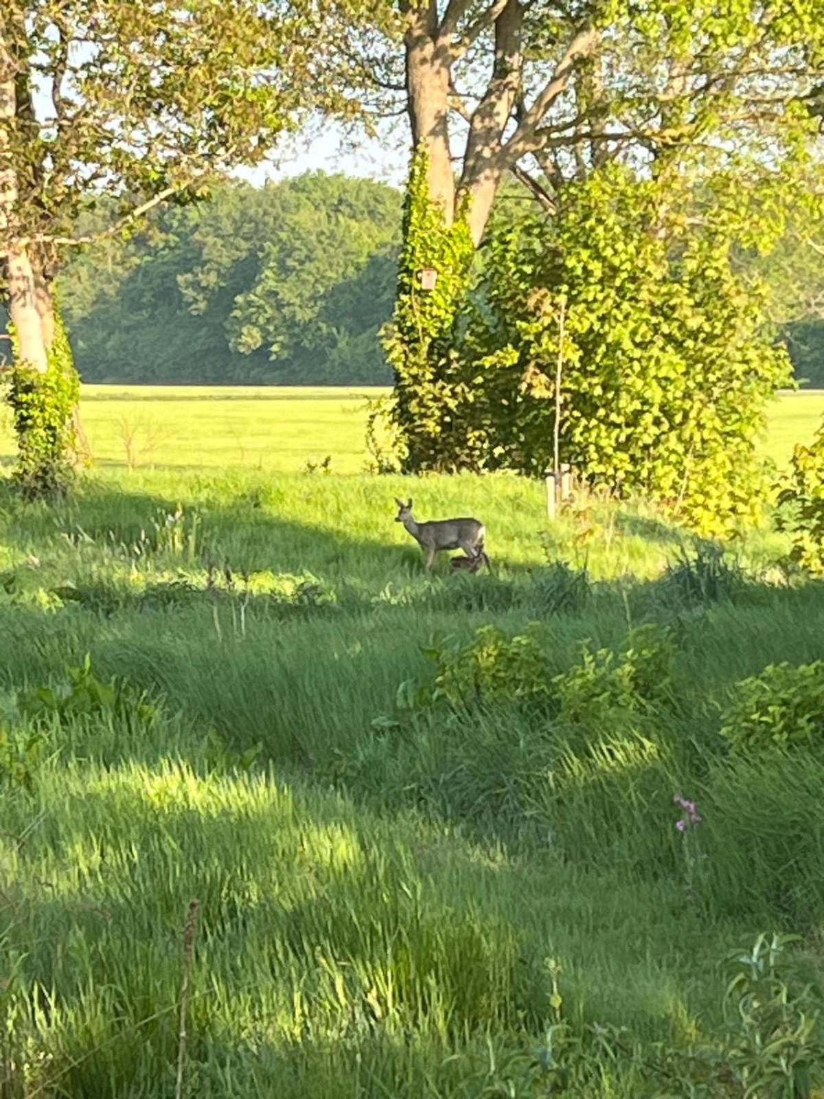Villa Bij De Kei Appelscha Esterno foto